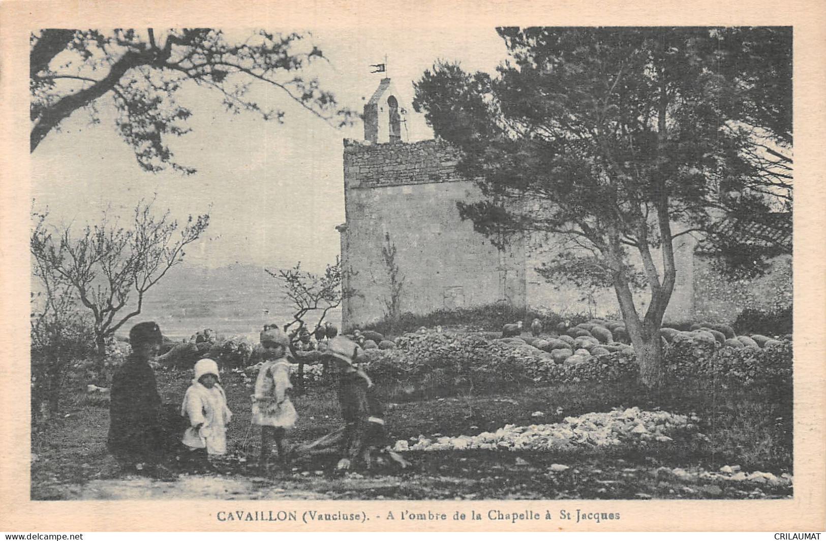 84-CAVAILLON-N°T5071-B/0289 - Cavaillon