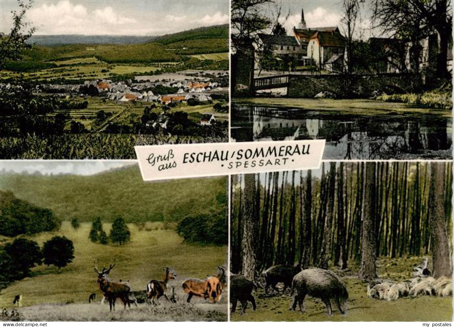 73889020 Eschau Unterfranken Panorama Kirche Wildfuetterung Eschau Unterfranken - Sonstige & Ohne Zuordnung