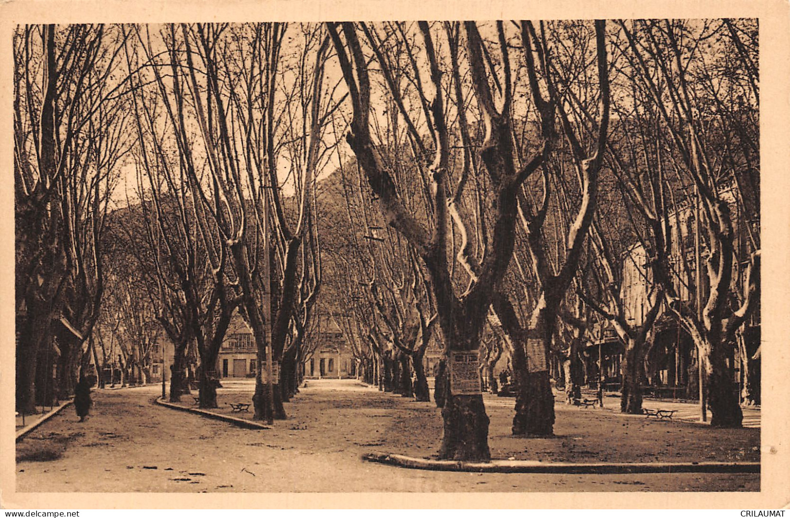 84-CAVAILLON-N°T5071-B/0245 - Cavaillon