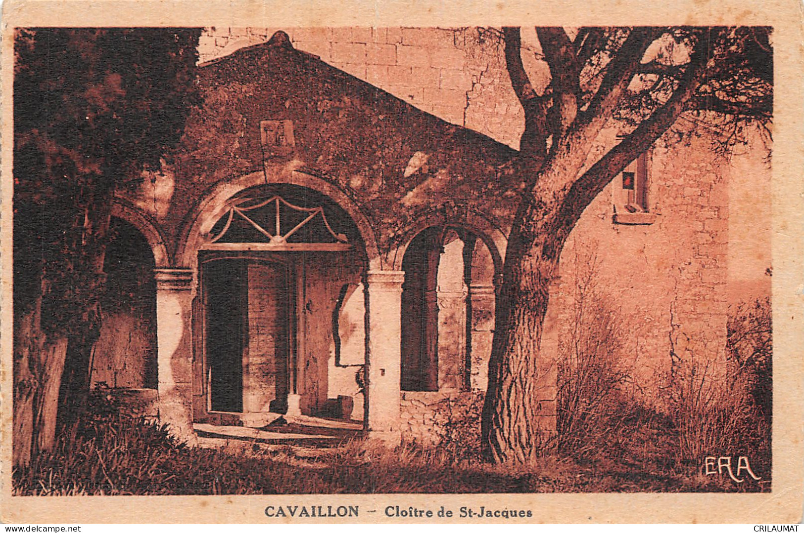 84-CAVAILLON-N°T5071-B/0251 - Cavaillon