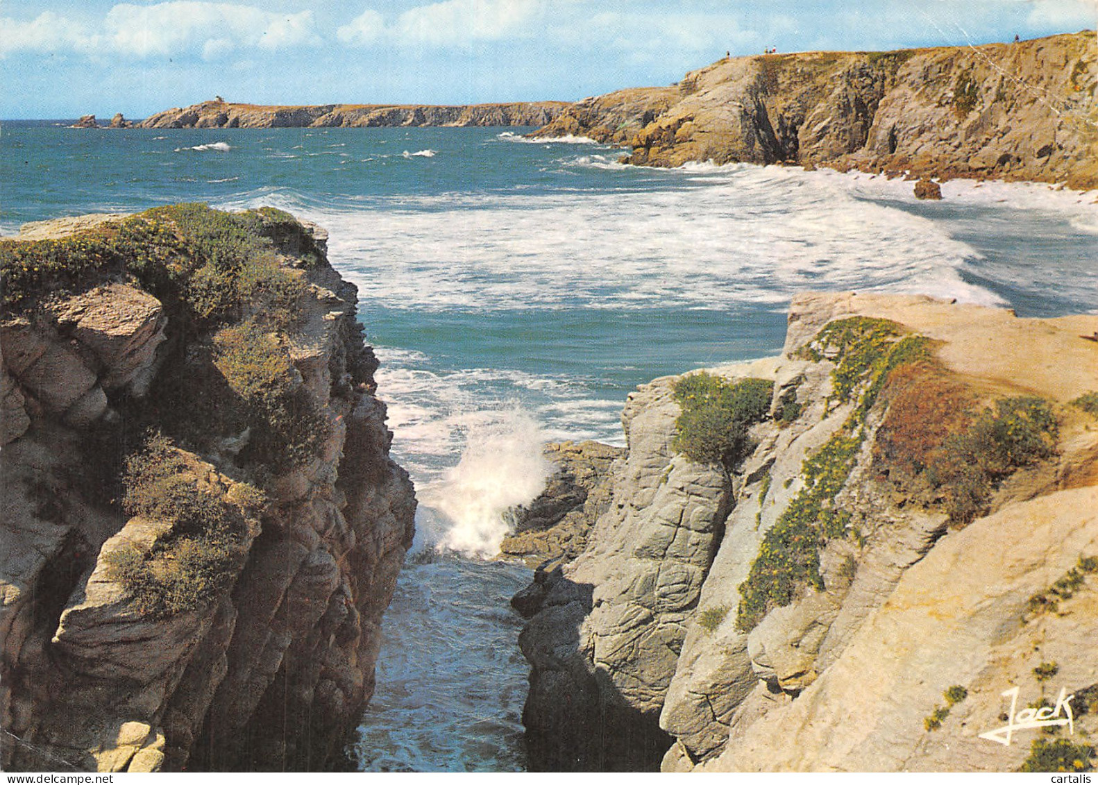 56-QUIBERON-N° 4392-D/0289 - Quiberon