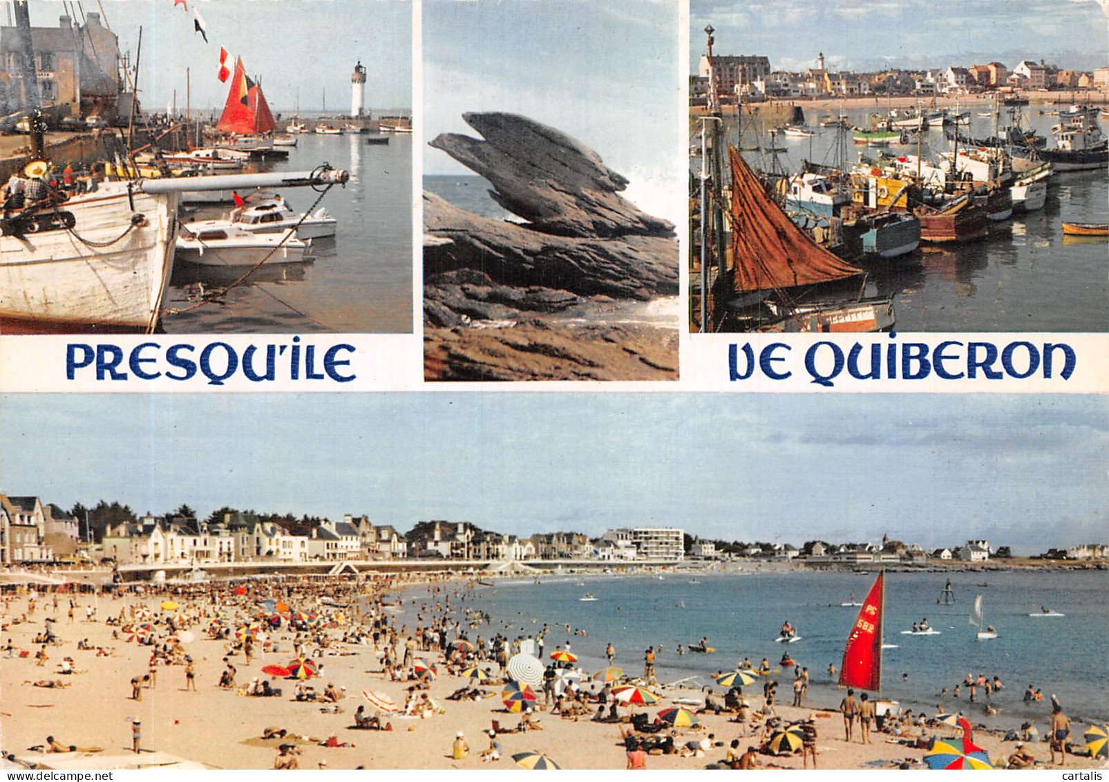 56-QUIBERON-N° 4392-D/0271 - Quiberon