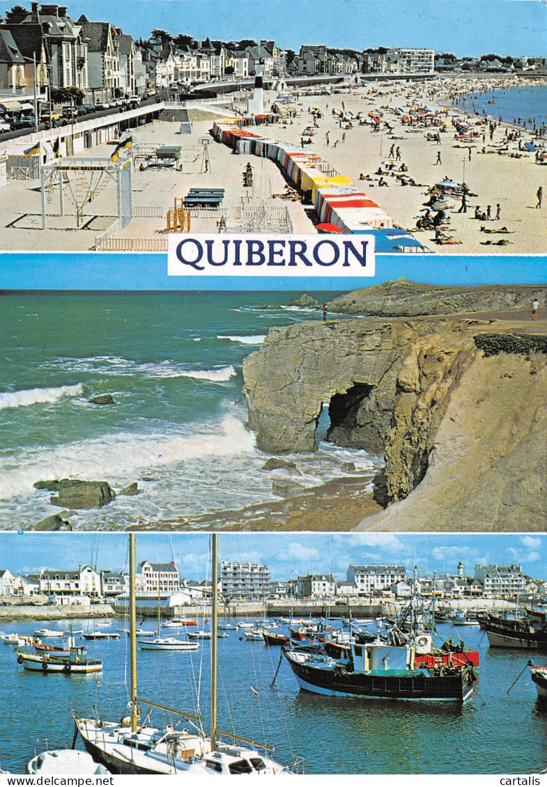 56-QUIBERON-N° 4392-D/0247 - Quiberon