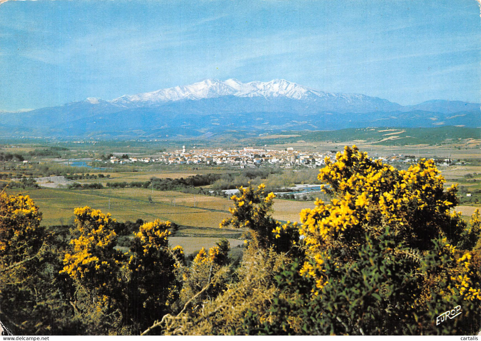 66-ROUSSILLON-N° 4392-D/0141 - Roussillon