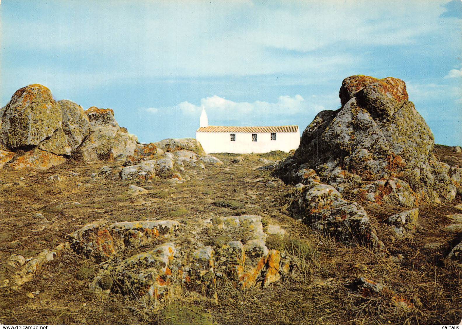 85-ILE D YEU-N° 4393-B/0081 - Ile D'Yeu