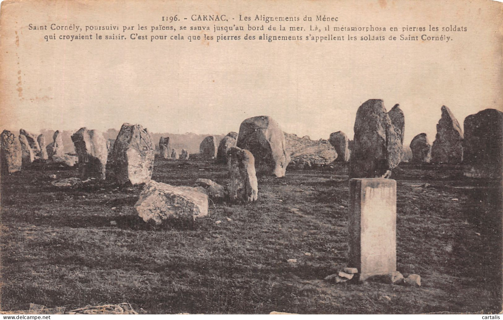 56-CARNAC-N° 4393-E/0019 - Carnac