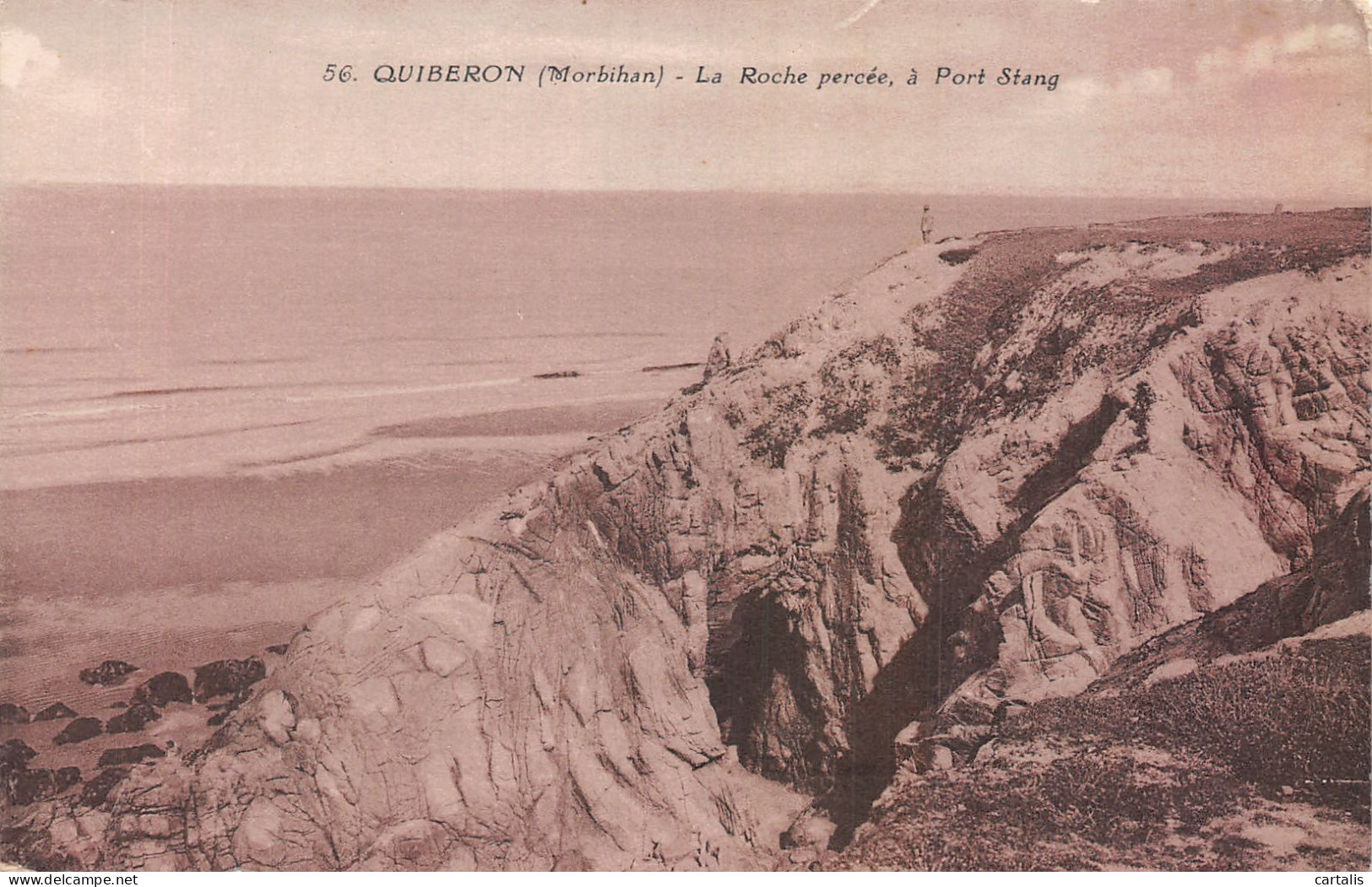 56-QUIBERON-N° 4393-E/0021 - Quiberon