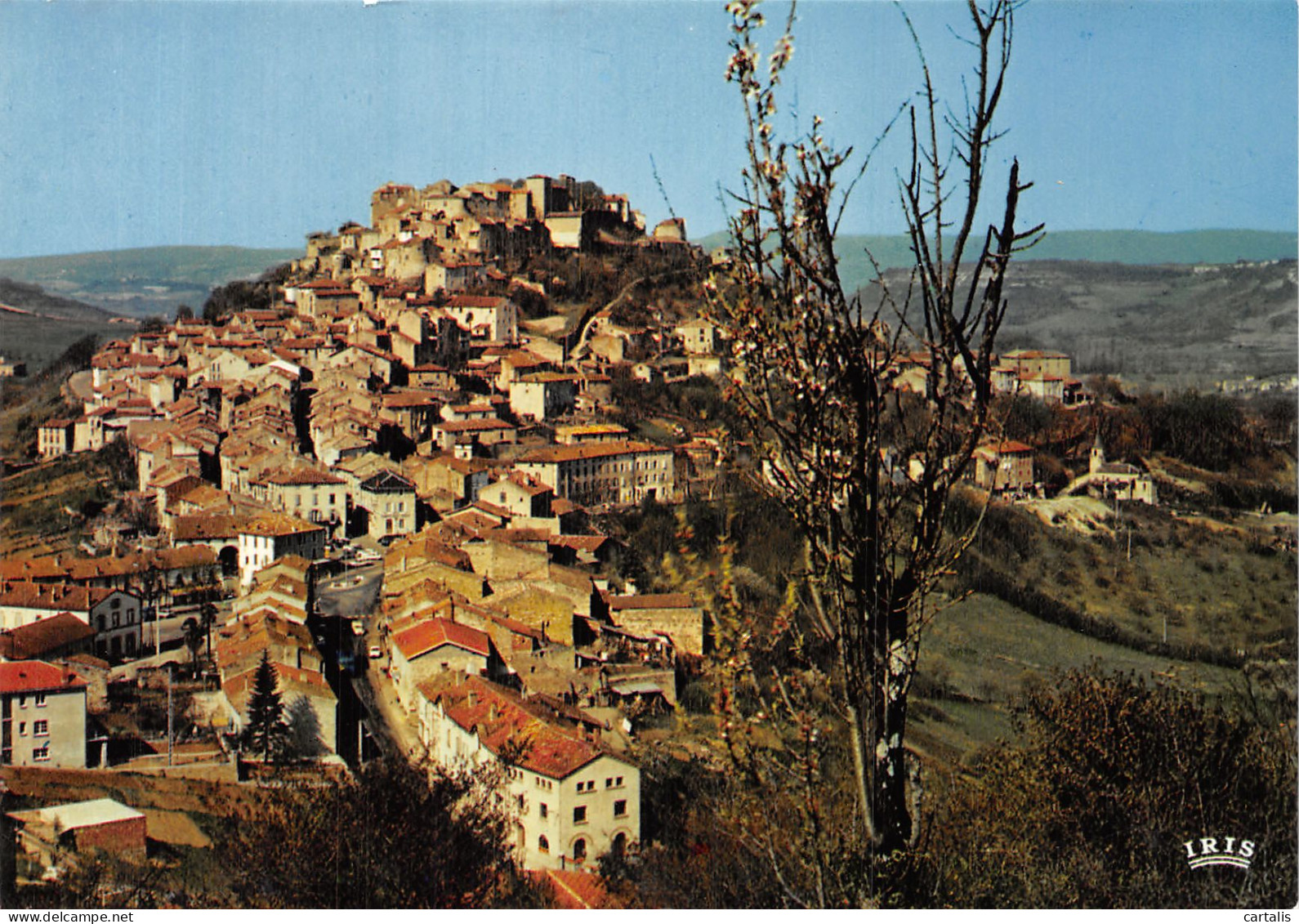 81-CORDES EN ALBIGEOIS-N° 4393-D/0275 - Cordes