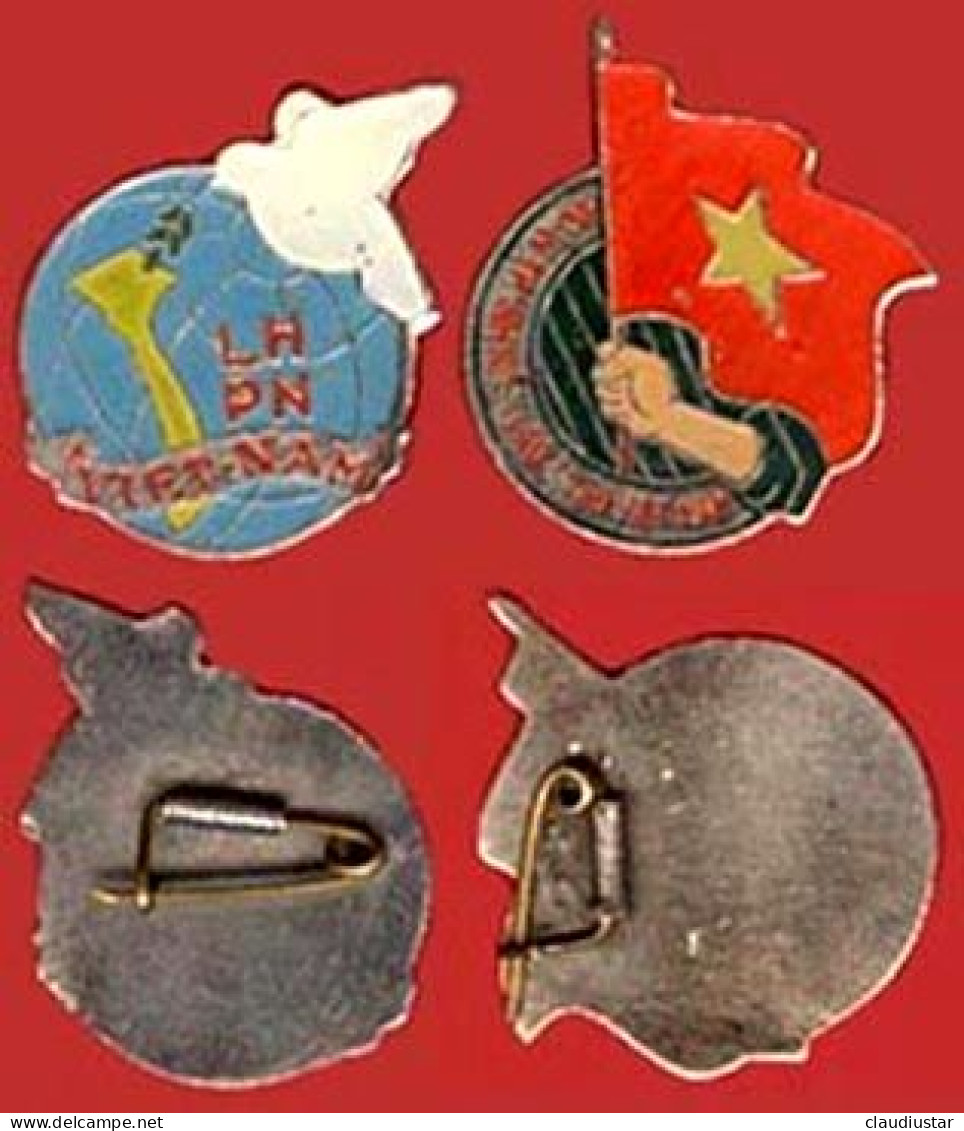 ** LOT  2  BROCHES  VIET - NAM ** - Brochen