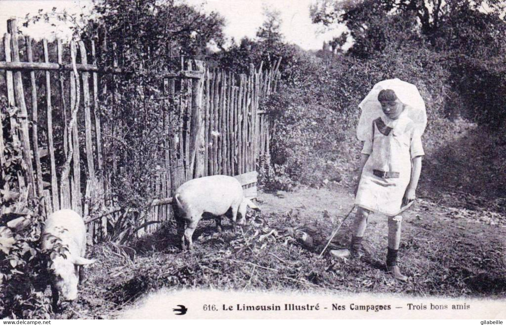  LIMOUSIN -  Le Limousin Illustré - Nos Campagne - Trois Bons Amis - Limousin