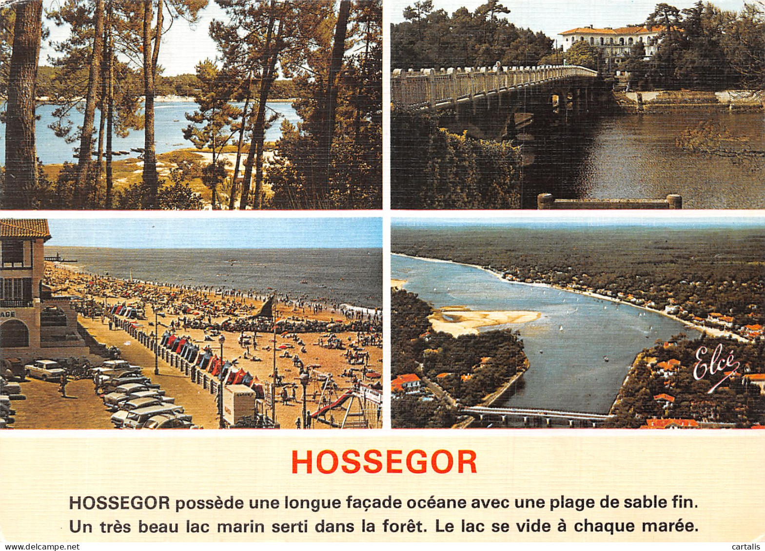 40-HOSSEGOR-N° 4395-C/0295 - Hossegor