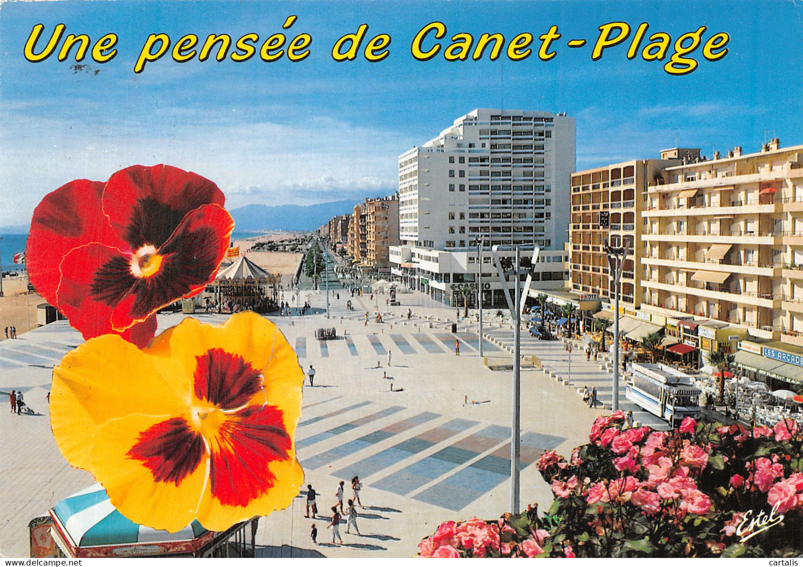 66-CANET PLAGE-N° 4395-C/0289 - Canet Plage