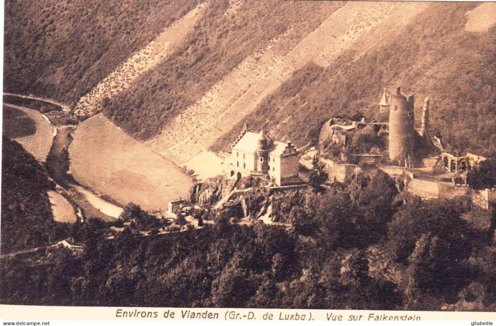 Luxembourg -  Environs De VIANDEN - Vue Sur Falkenstein - Vianden