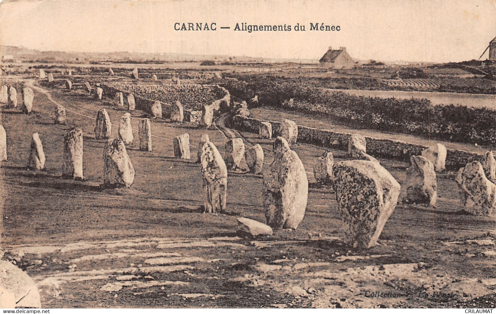 56-CARNAC-N°T5073-C/0183 - Carnac