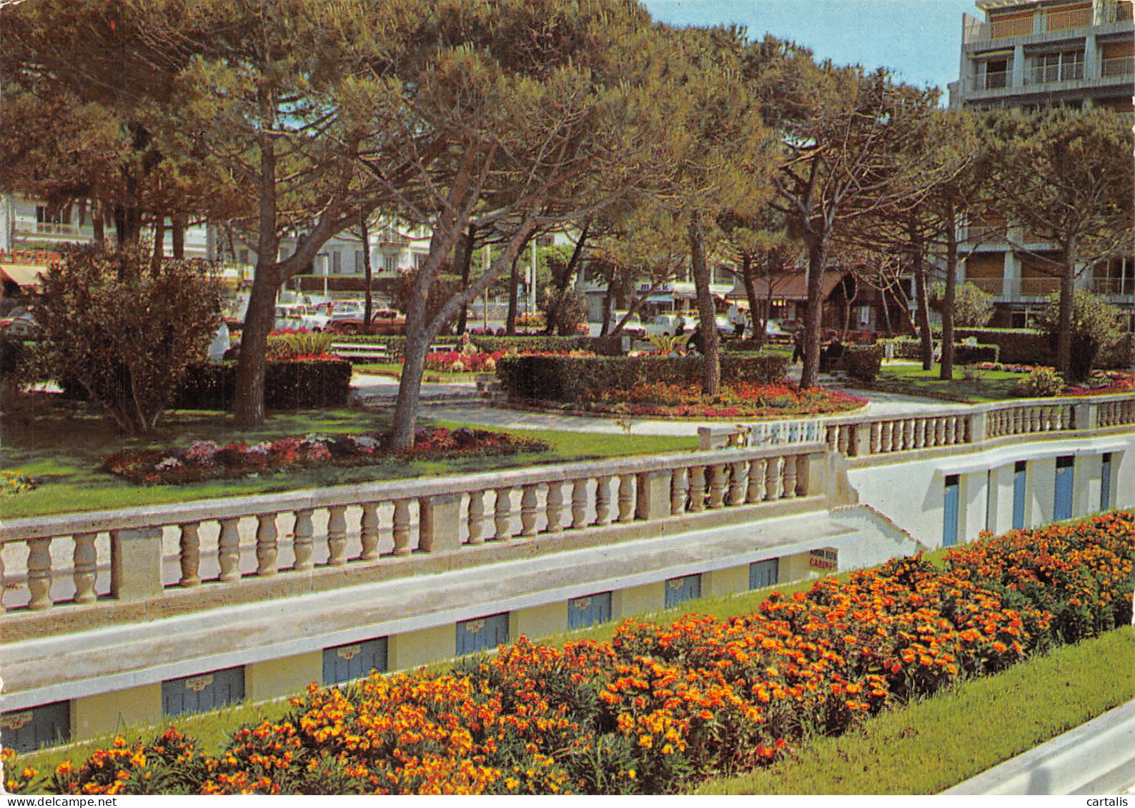 06-JUAN LES PINS-N° 4396-C/0355 - Juan-les-Pins