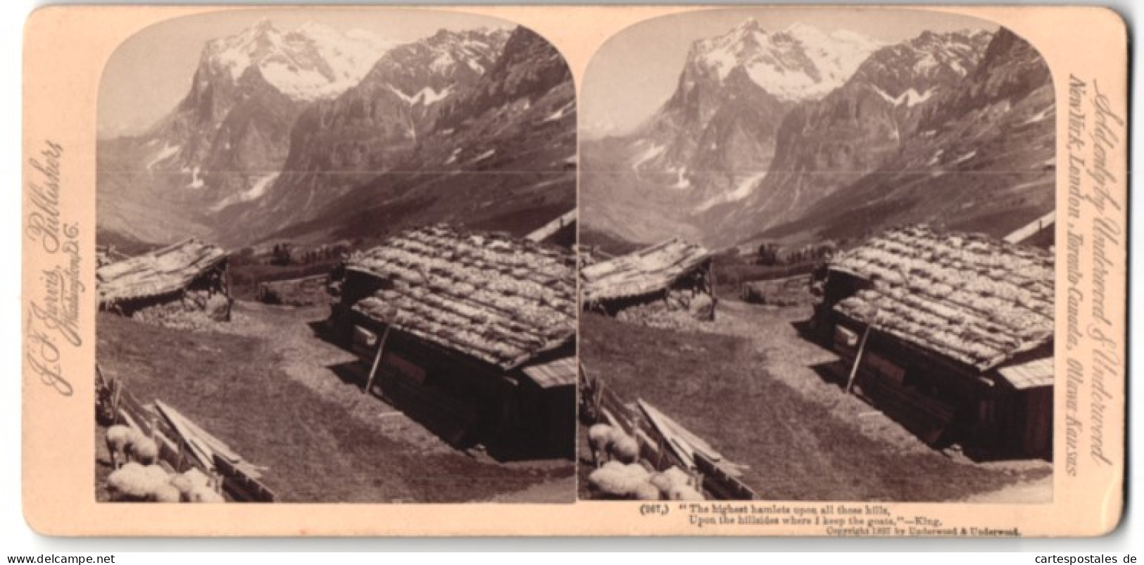 Stereo-Fotografie J. F. Jarvis, Washington D.C., Ansicht Scheidegg, Blick In Das Grindelwaldthal Mit Wetterhorn  - Fotos Estereoscópicas