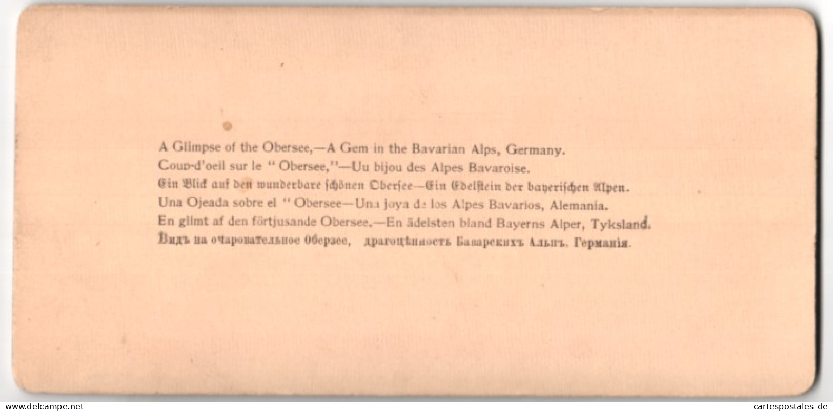 Stereo-Fotografie J. F. Jarvis, Washington D.C., Ansicht Obersee, Blick Auf Den See Mit Alpenpanorama  - Photos Stéréoscopiques