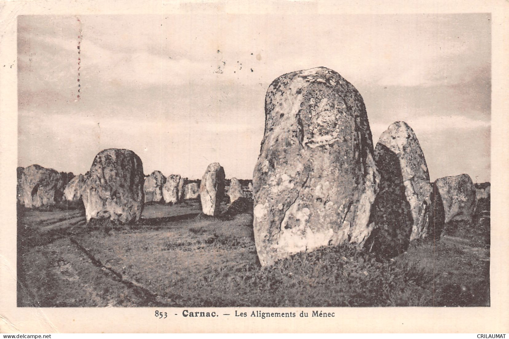 56-CARNAC-N°T5074-D/0009 - Carnac