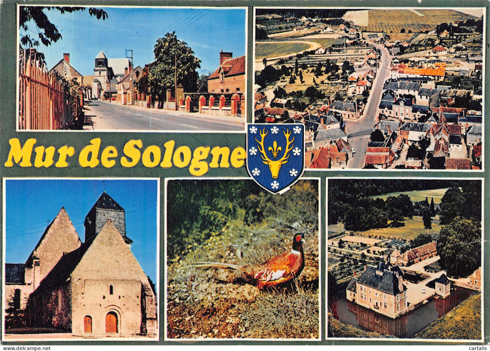 41-MUR DE SOLOGNE-N° 4398-B/0023 - Other & Unclassified