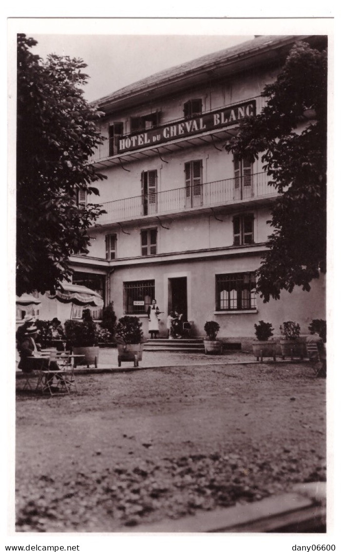 RUMILLY - Hotel Du Cheval Blanc (carte Photo Animée) - Rumilly