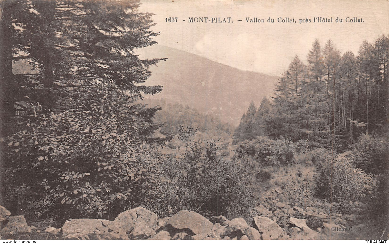 42-MONT PILAT-N°T5074-F/0305 - Mont Pilat