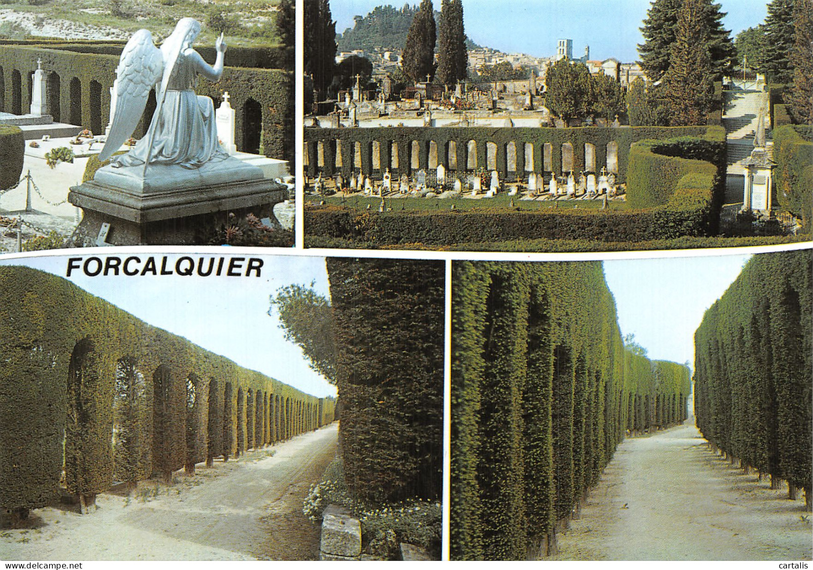 04-FORCALQUIER-N° 4399-B/0357 - Forcalquier