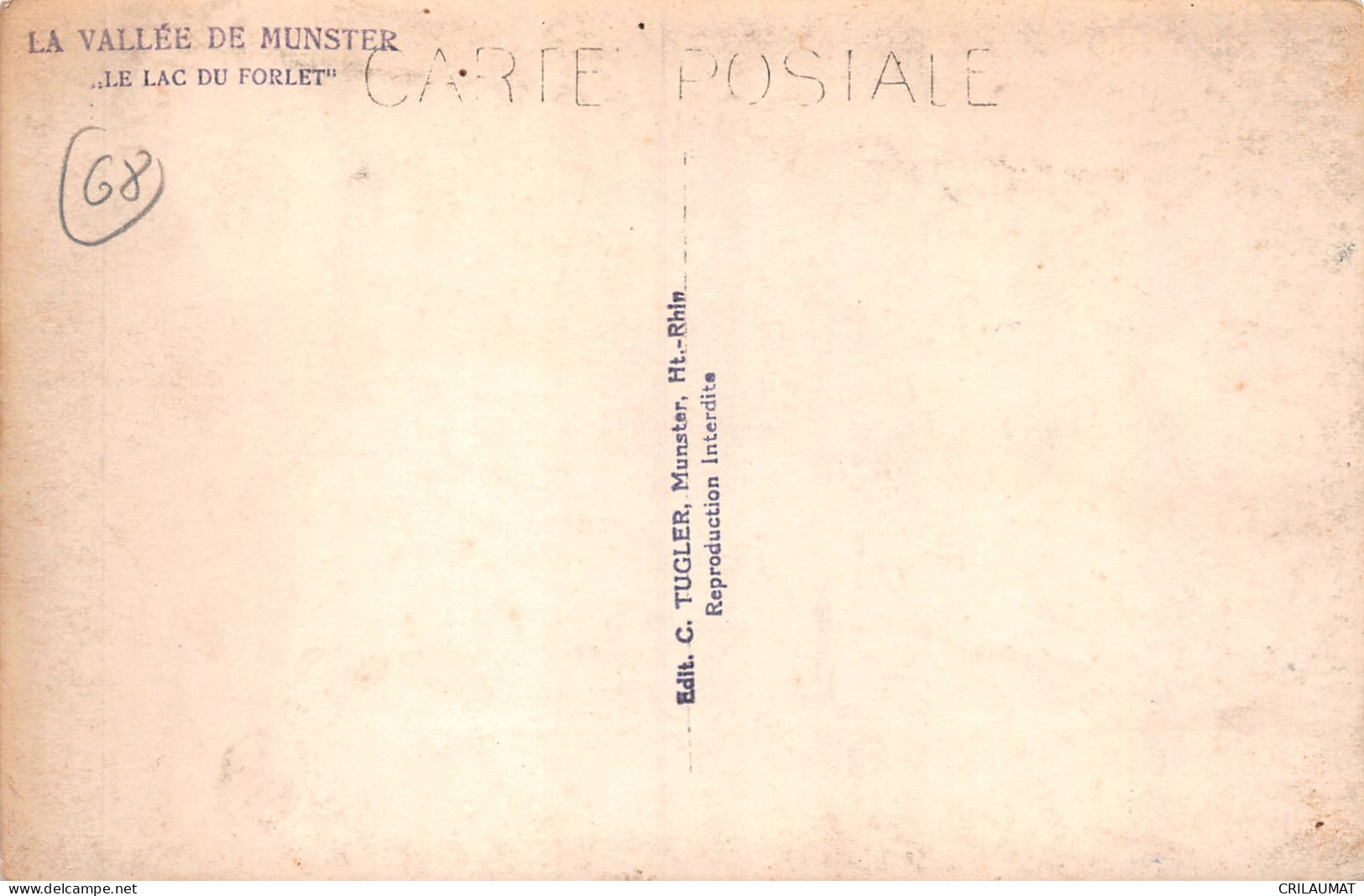 68-MUNSTER-N°T5075-E/0069 - Munster