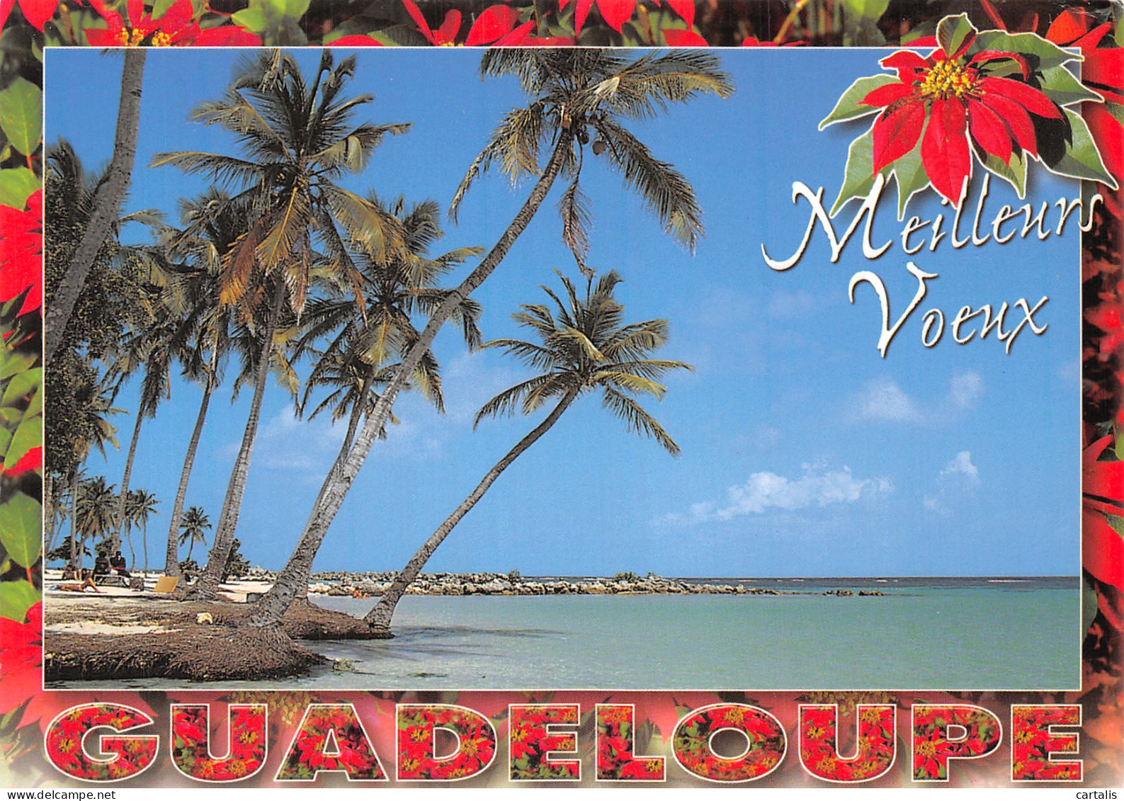 971-GUADELOUPE-N° 4399-D/0391 - Other & Unclassified