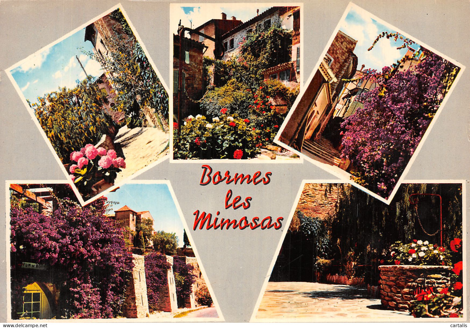 83-BORMES LES MIMOSAS-N° 4399-D/0061 - Bormes-les-Mimosas