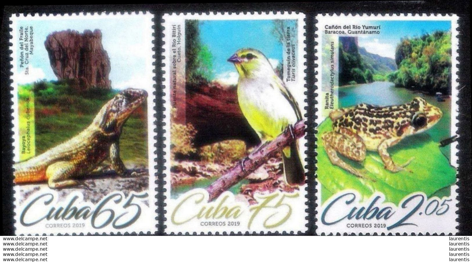 7476  Frogs - Birds - Lizards - 2019 - MNH - Cb - 2,35 . --- - Ranas