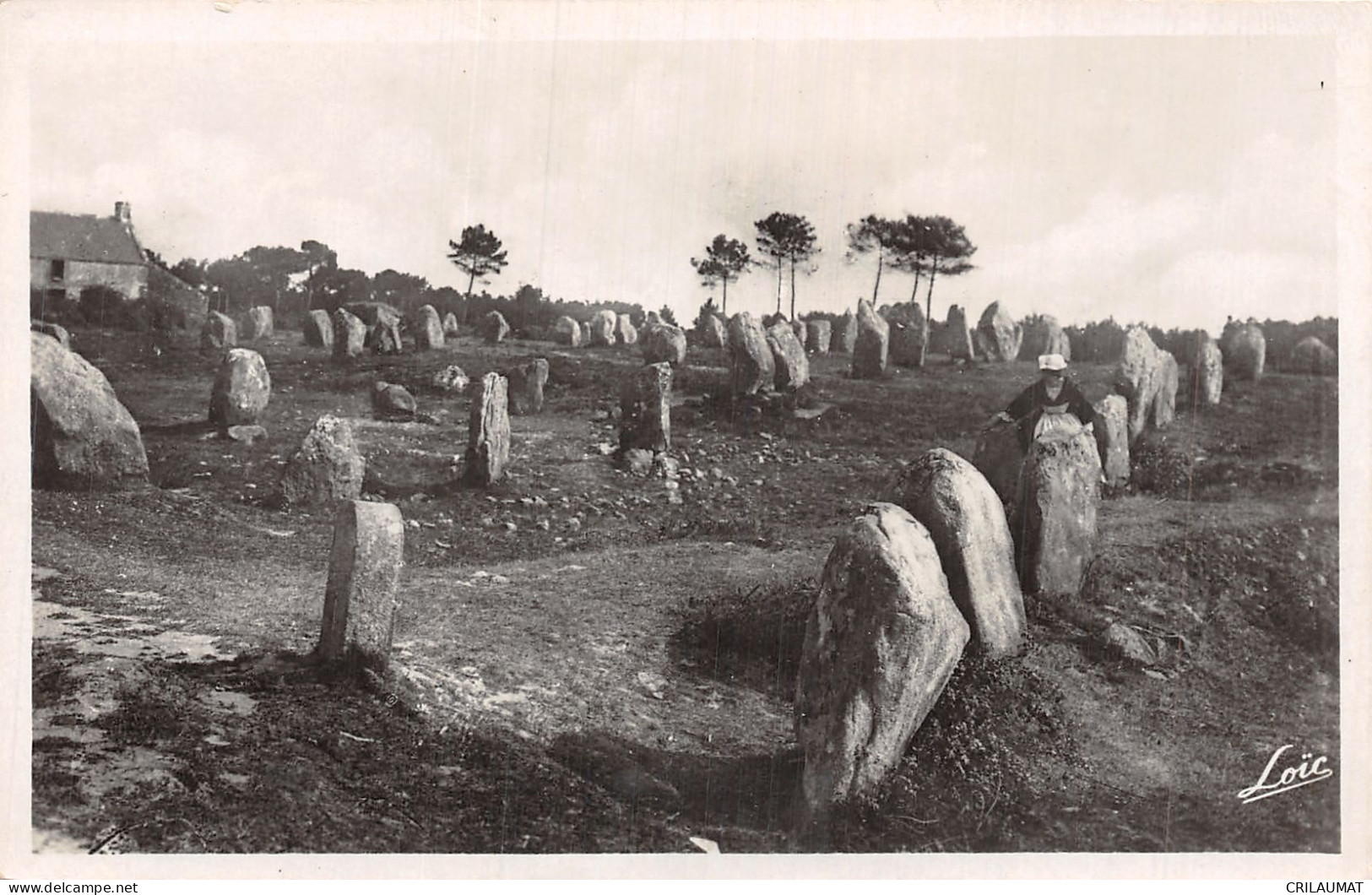 56-CARNAC-N°T5075-G/0315 - Carnac