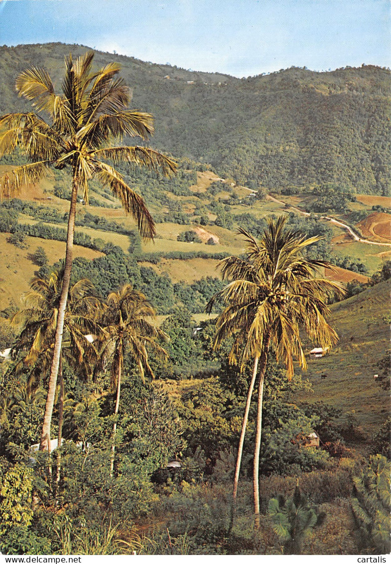 972-MARTINIQUE-N° 4400-B/0295 - Autres & Non Classés