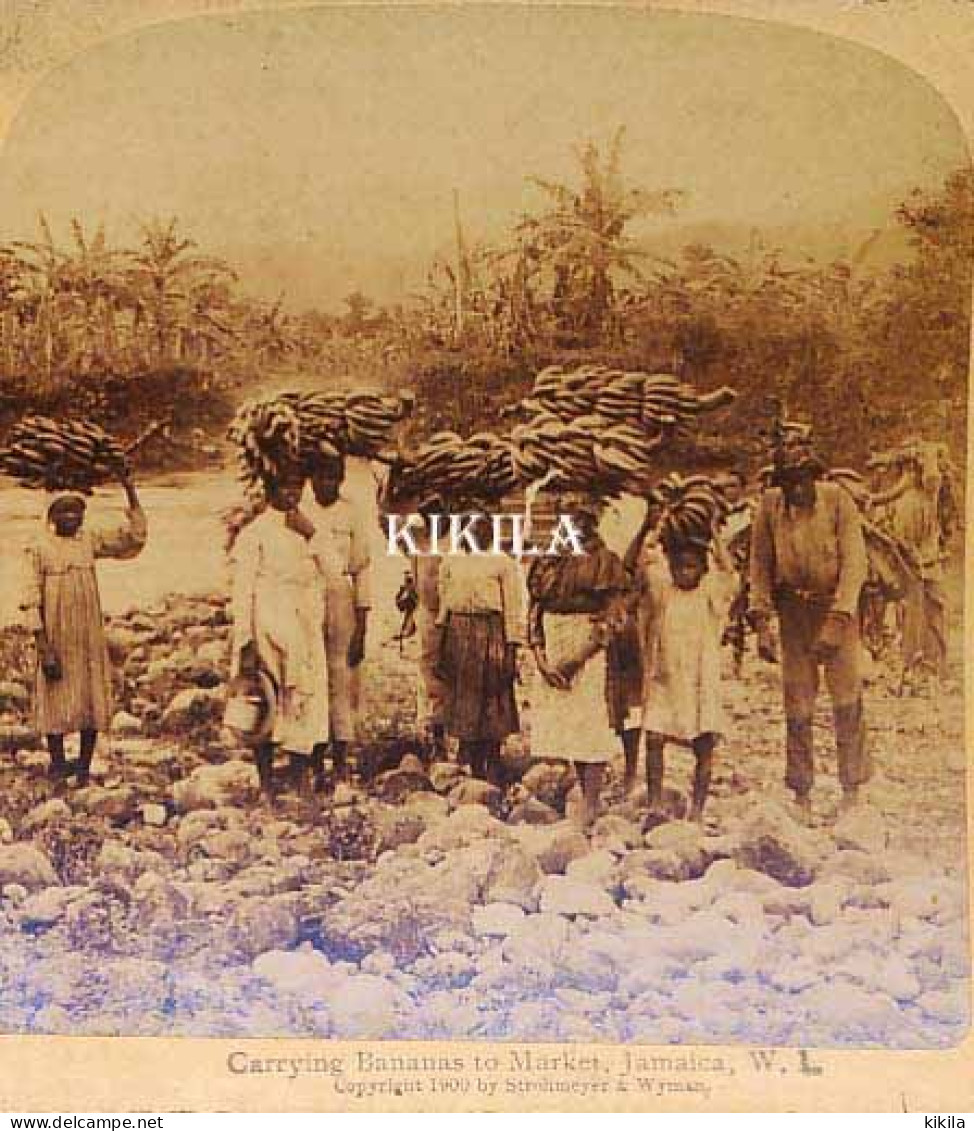 Photo Stéréoscopique (21) 7,7x8 Cm Carton Fort 17,7x8,8 Cm Transport De Bananes Au Marché, Jamaïque, Antilles* - Stereoscopic