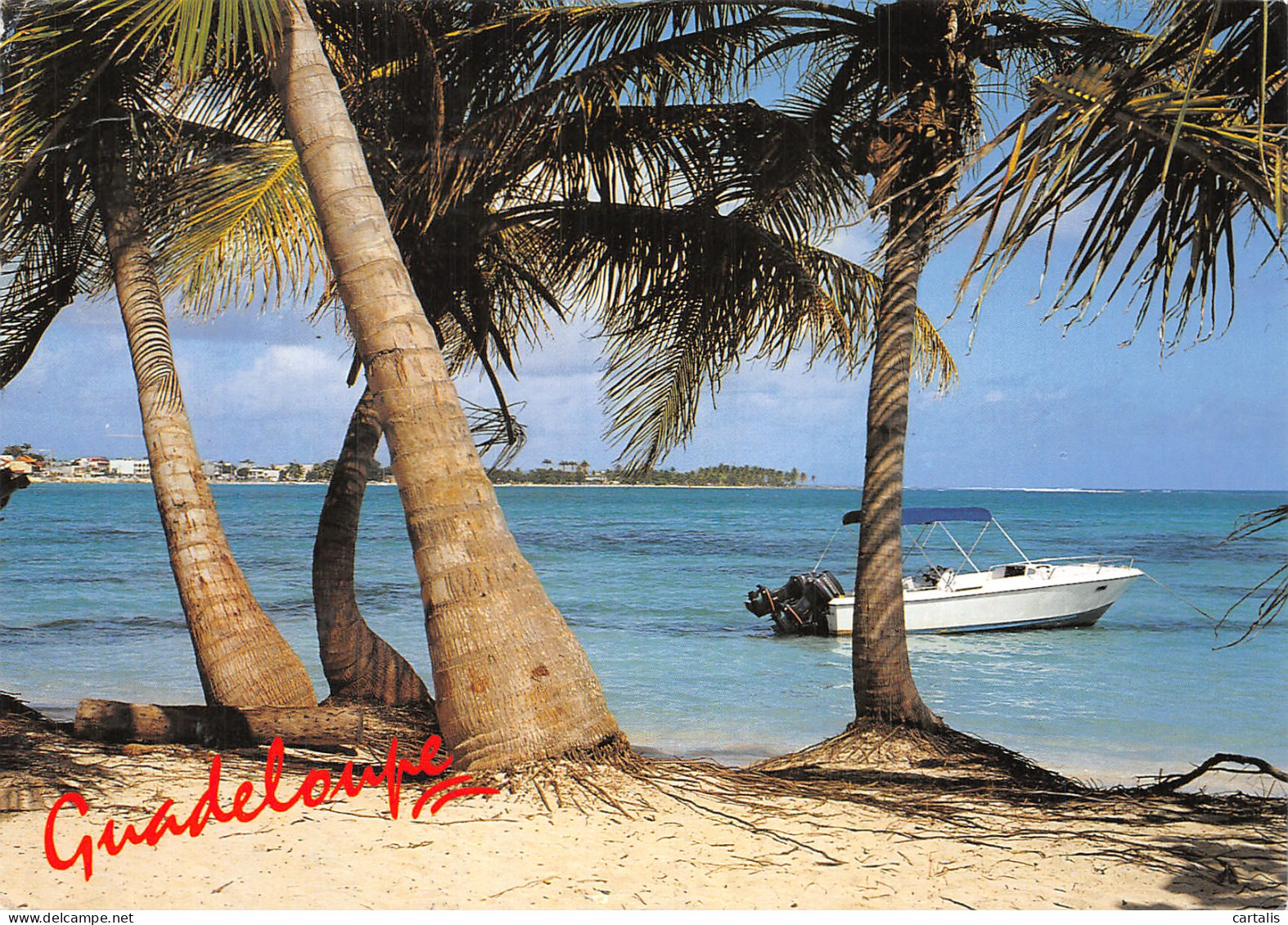971-GUADELOUPE SAINTE ANNE-N° 4400-D/0135 - Other & Unclassified