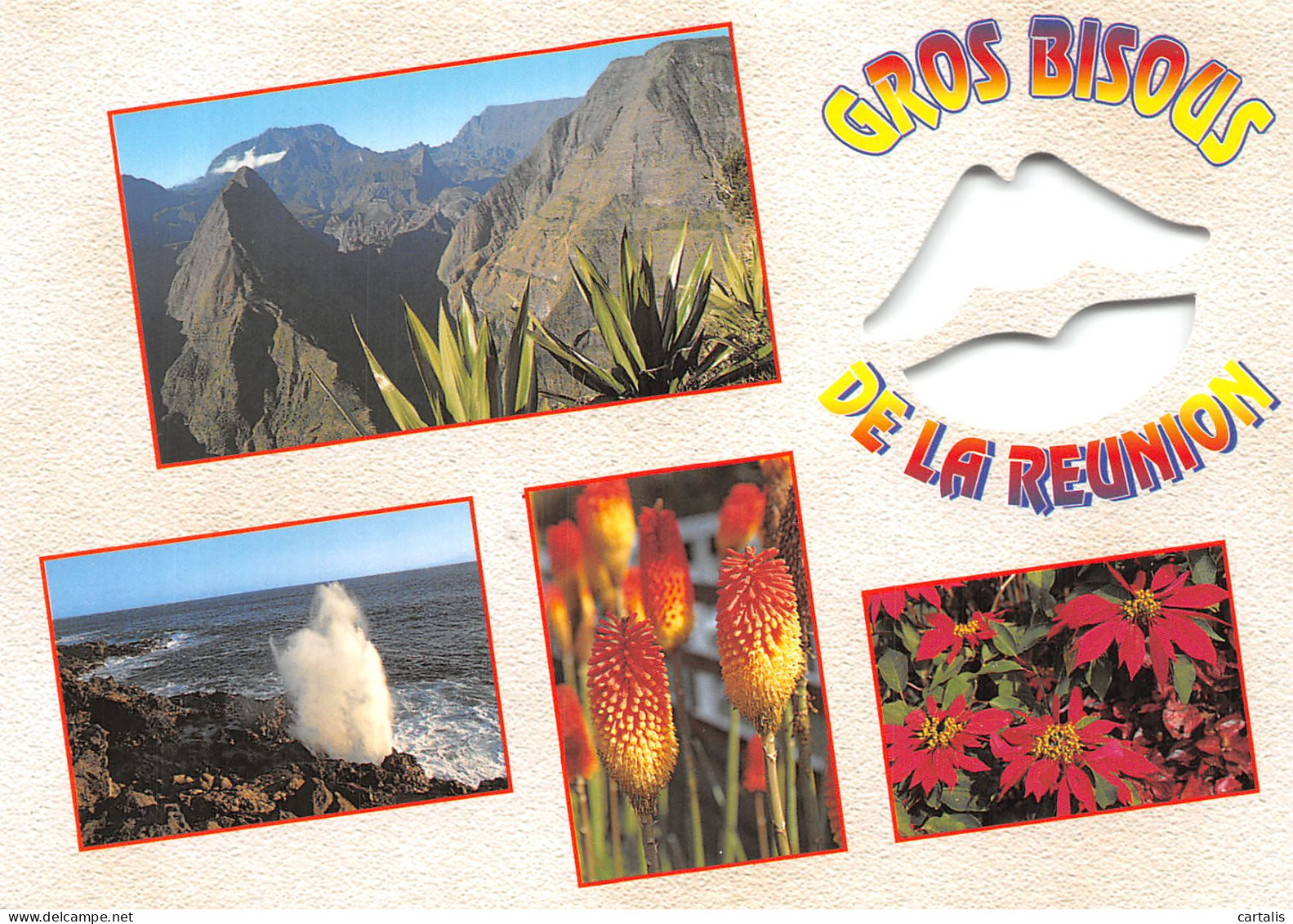 974-ILE DE LA REUNION-N° 4400-D/0137 - Sonstige & Ohne Zuordnung