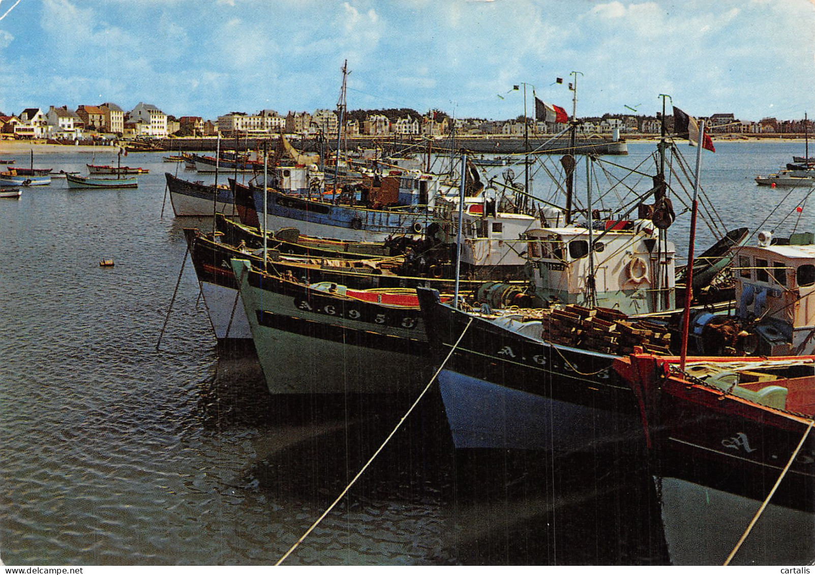 56-QUIBERON-N° 4401-C/0141 - Quiberon