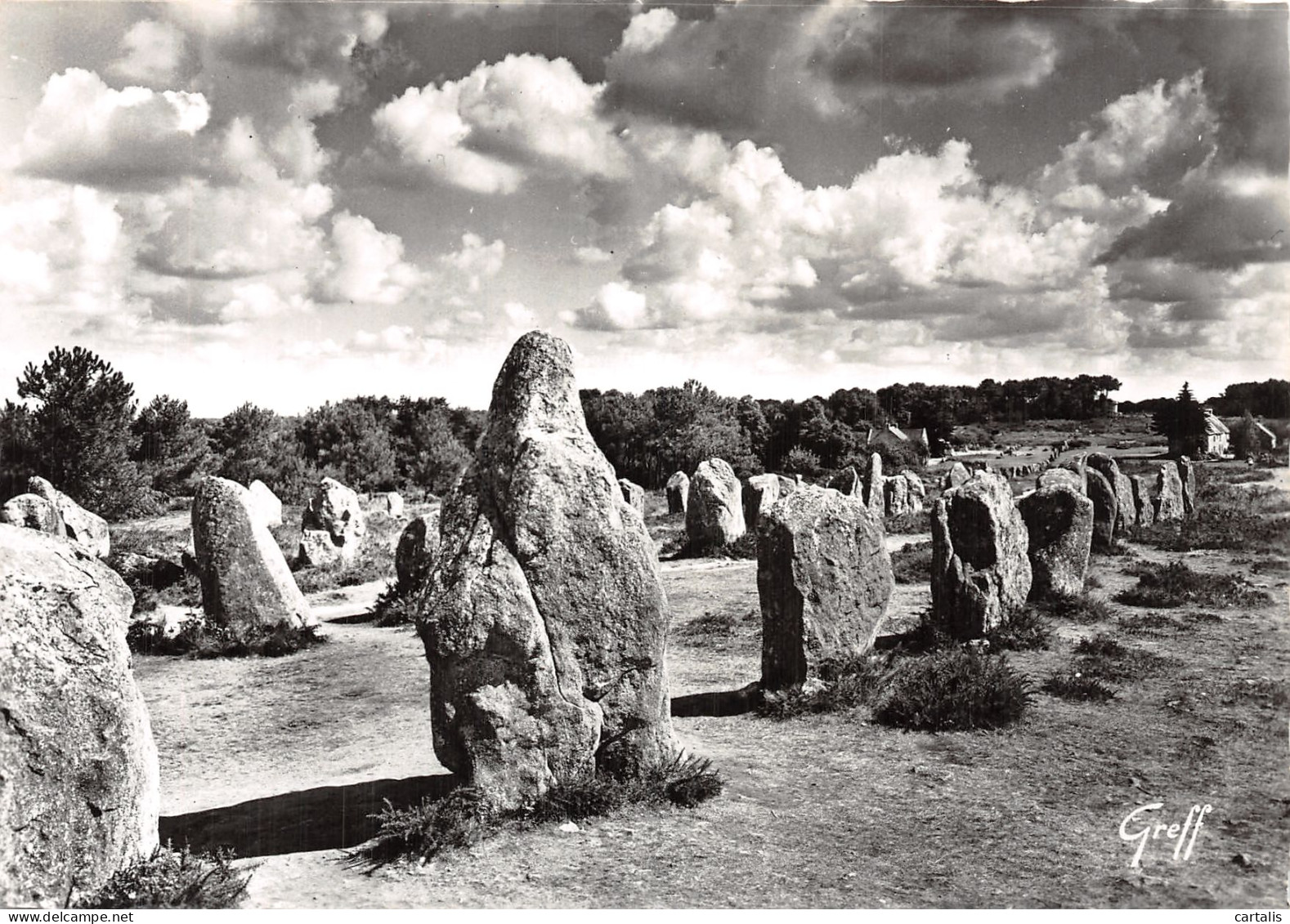 56-CARNAC KERMARIO-N° 4401-B/0215 - Carnac