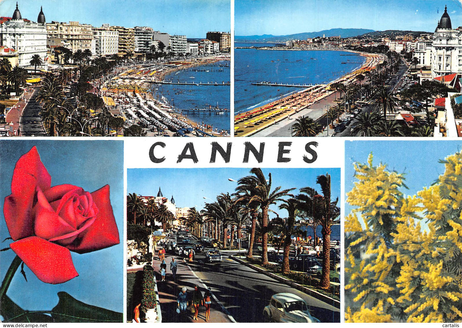 06-CANNES-N° 4401-A/0125 - Cannes