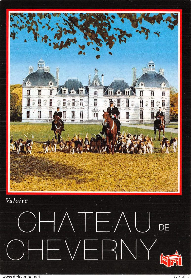 41-CHEVERNY LE CHATEAU-N° 4401-D/0031 - Cheverny