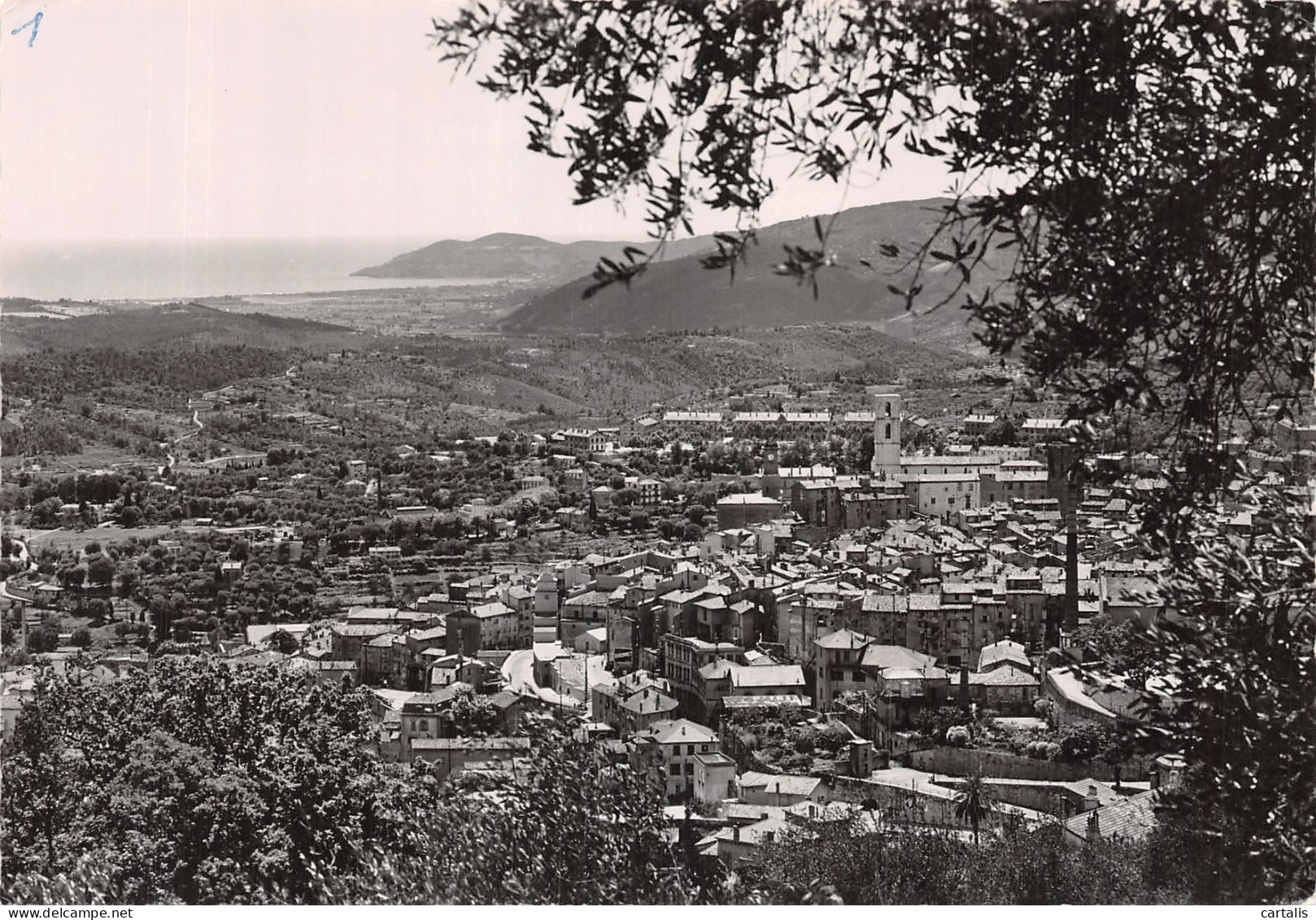 06-GRASSE-N° 4401-C/0279 - Grasse