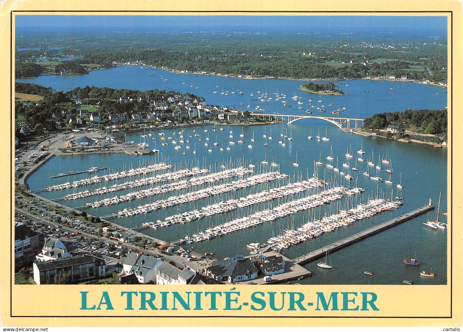 56-LA TRINITE SUR MER-N° 4401-C/0193 - La Trinite Sur Mer