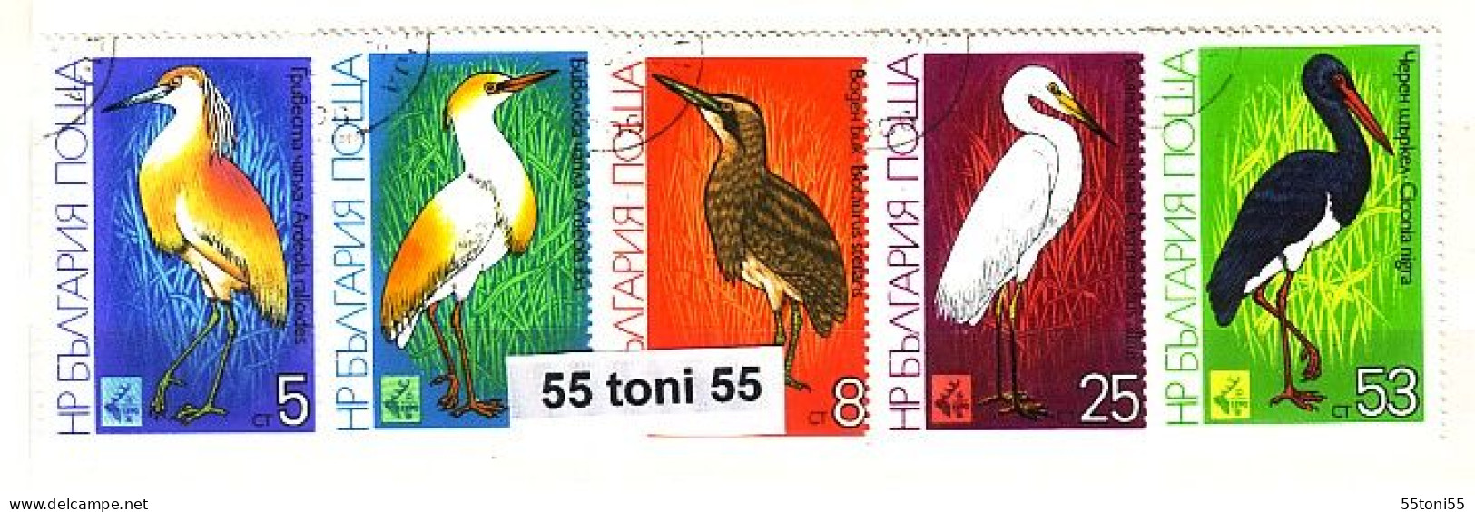 1981 Fauna BIRDS - EXPO 81    5 V.- Used/gest.( O )  BULGARIA / Bulgarie - Used Stamps