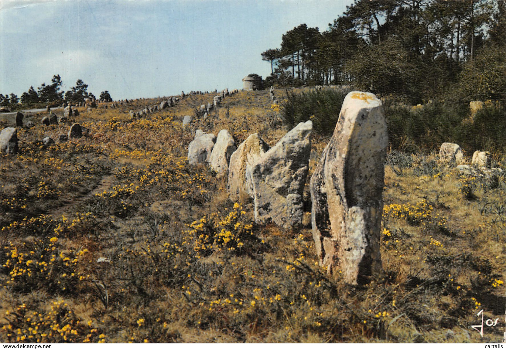 56-CARNAC-N° 4402-D/0371 - Carnac