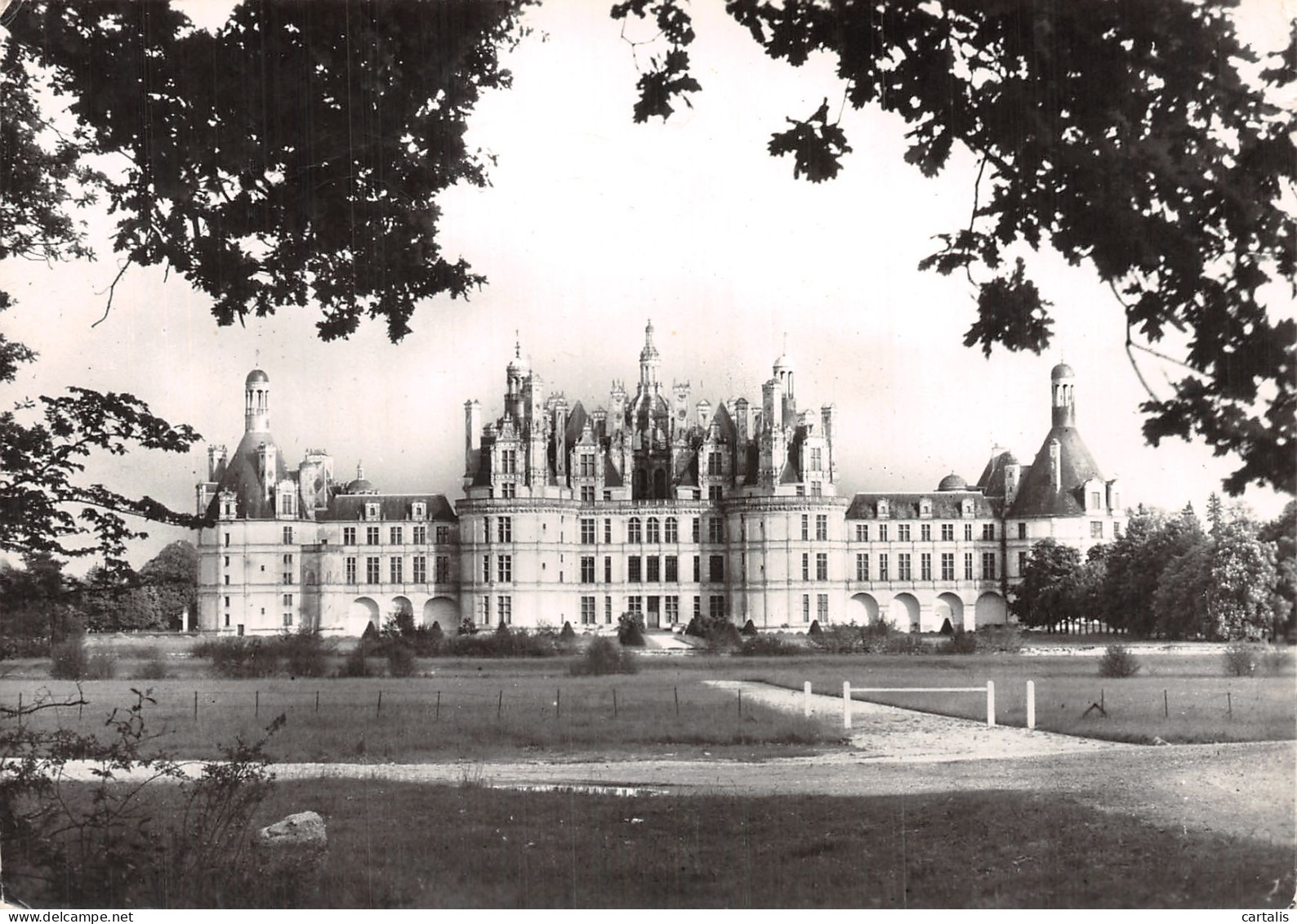 41-CHAMBORD LE CHATEAU-N° 4403-C/0273 - Chambord