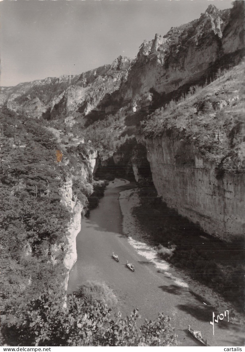 48-GORGES DU TARN LES DETROITS-N° 4403-B/0231 - Gorges Du Tarn