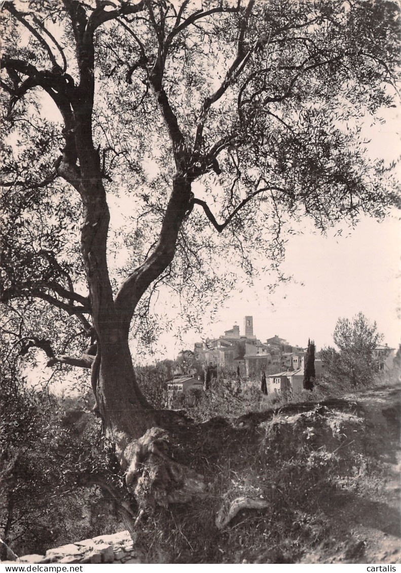 06-SAINT PAUL DE VENCE-N° 4403-A/0219 - Saint-Paul