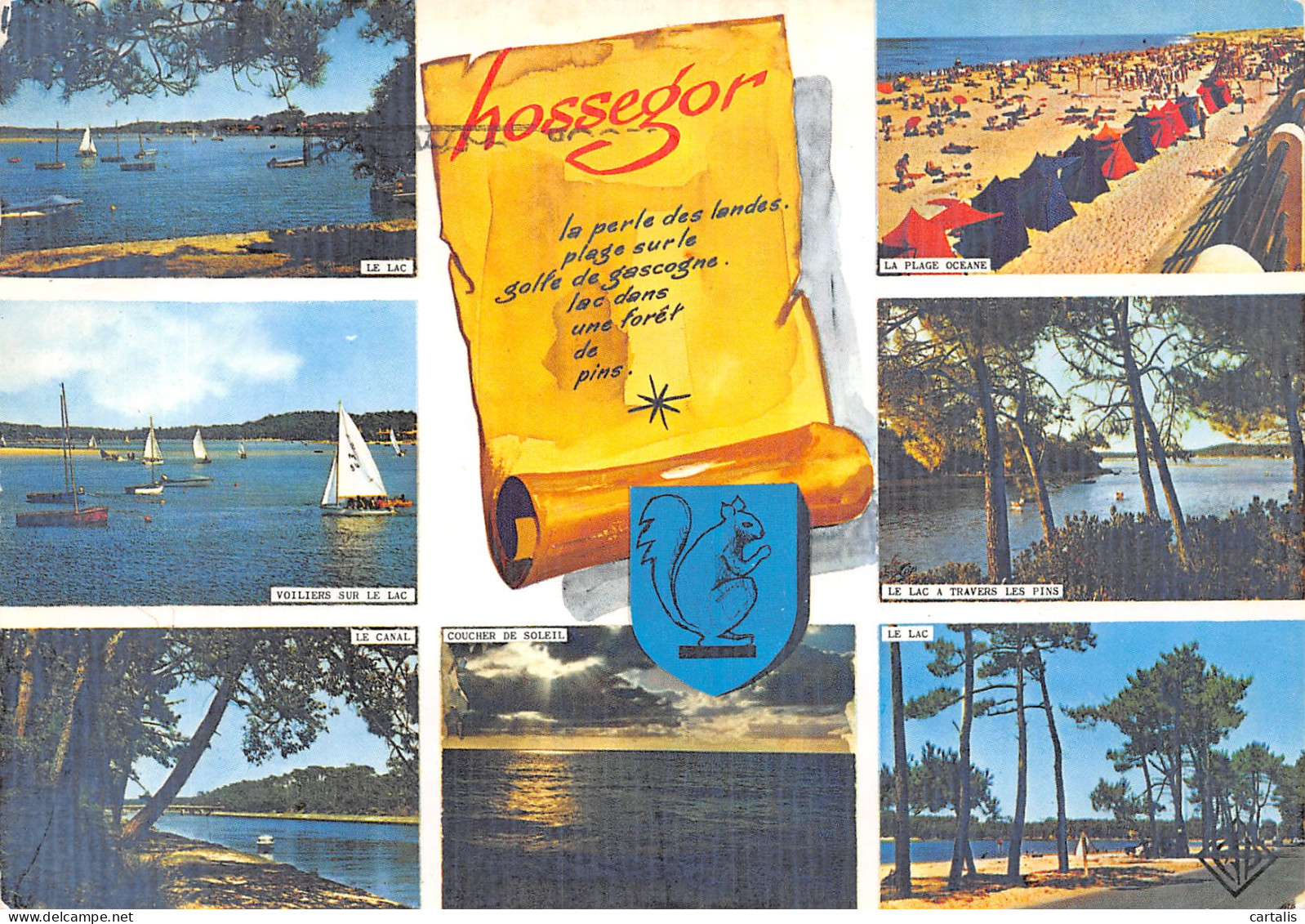 40-HOSSEGOR-N° 4403-A/0183 - Hossegor