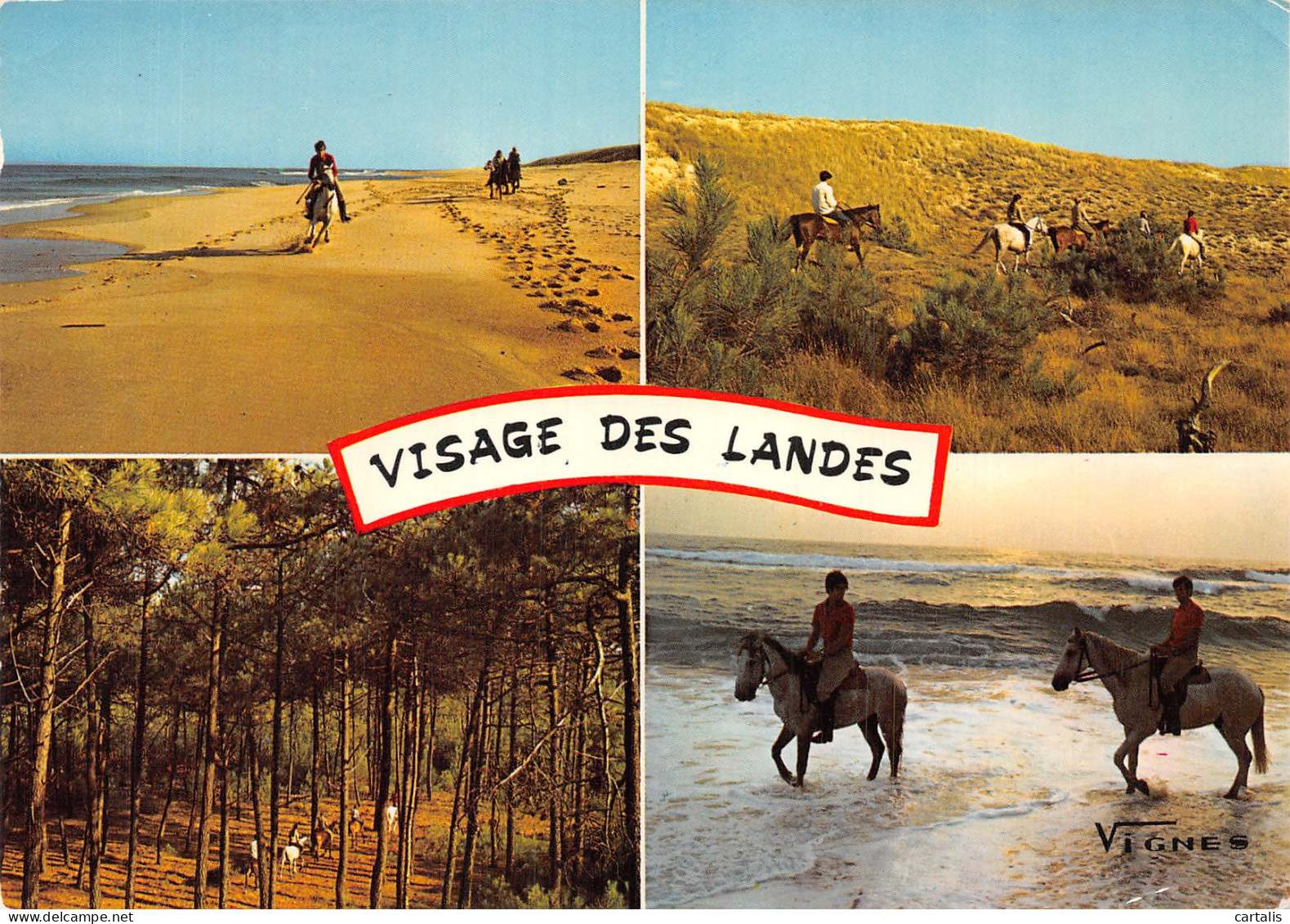 40-VISAGES DES LANDES-N° 4403-D/0129 - Autres & Non Classés