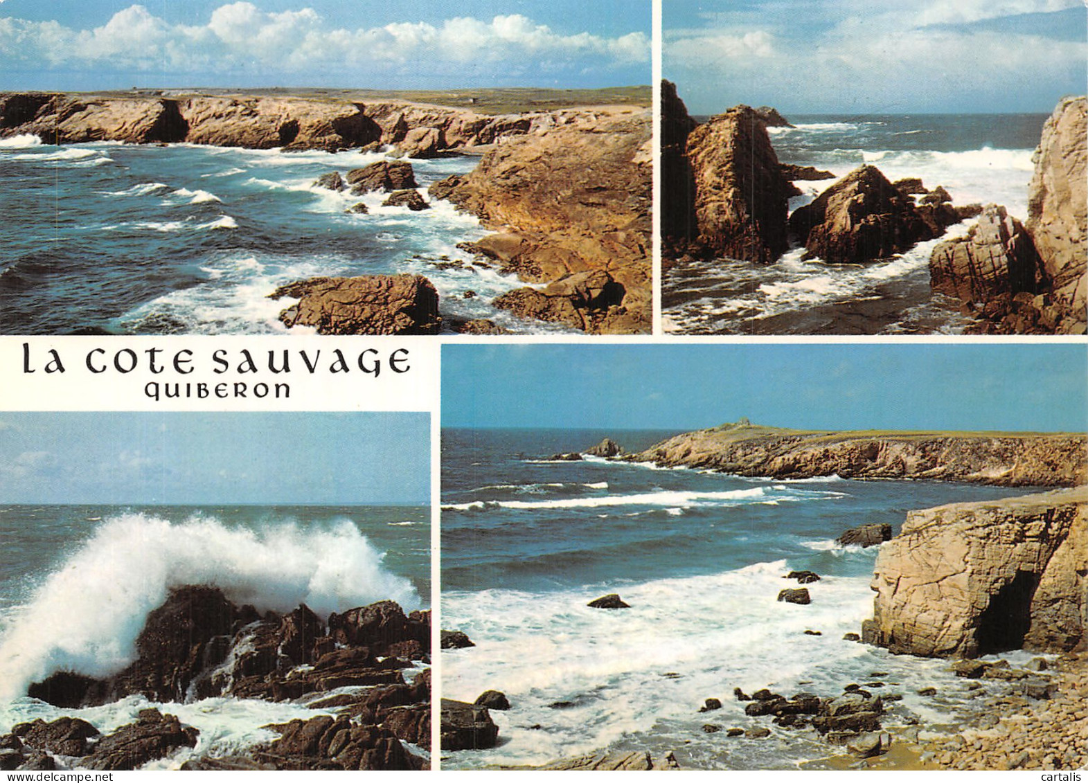 56-QUIBERON LA COTE SAUVAGE-N° 4403-D/0121 - Quiberon