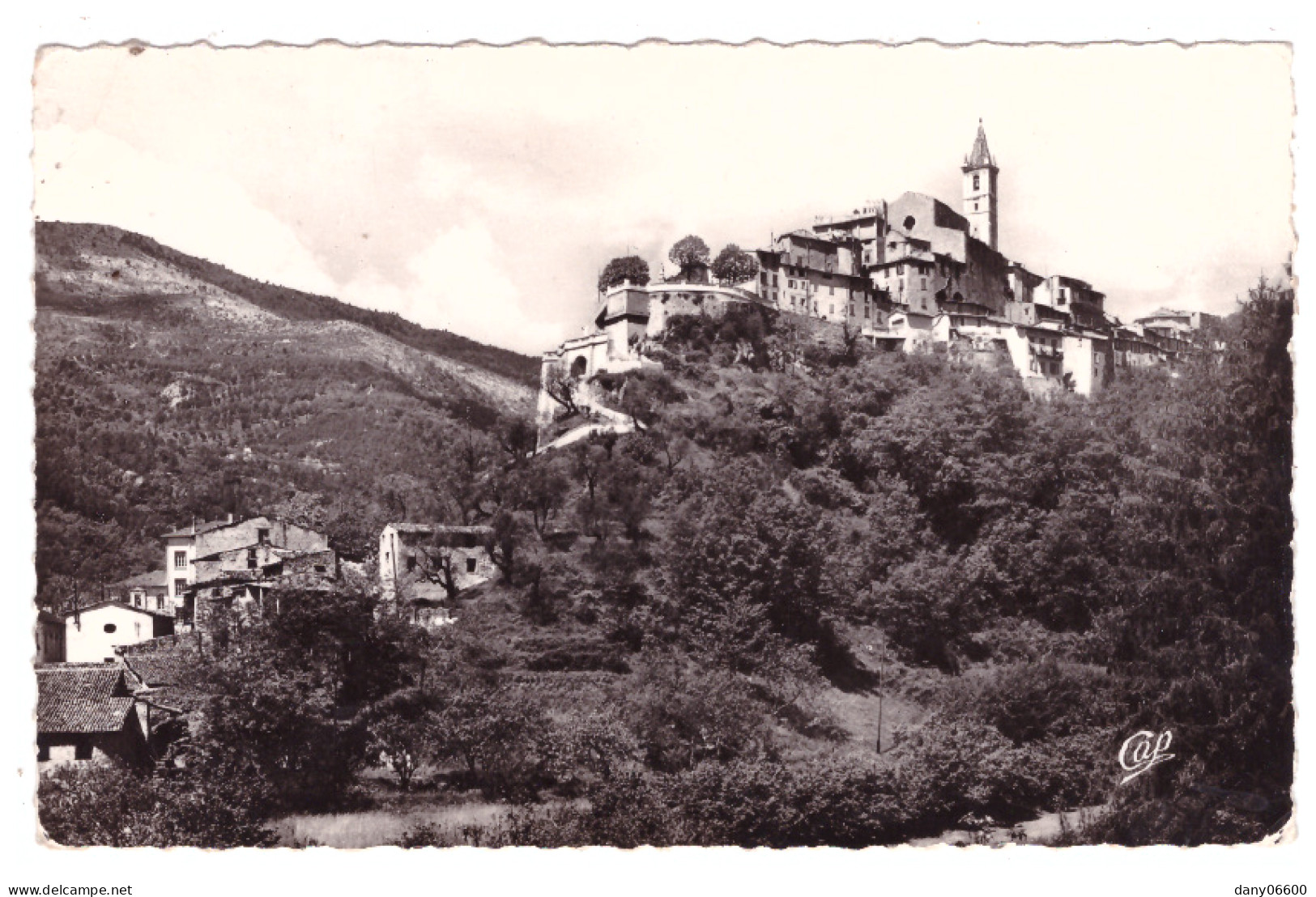 CONTES LES PINS   (carte Photo) - Contes